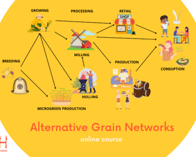 Alternative grain networks