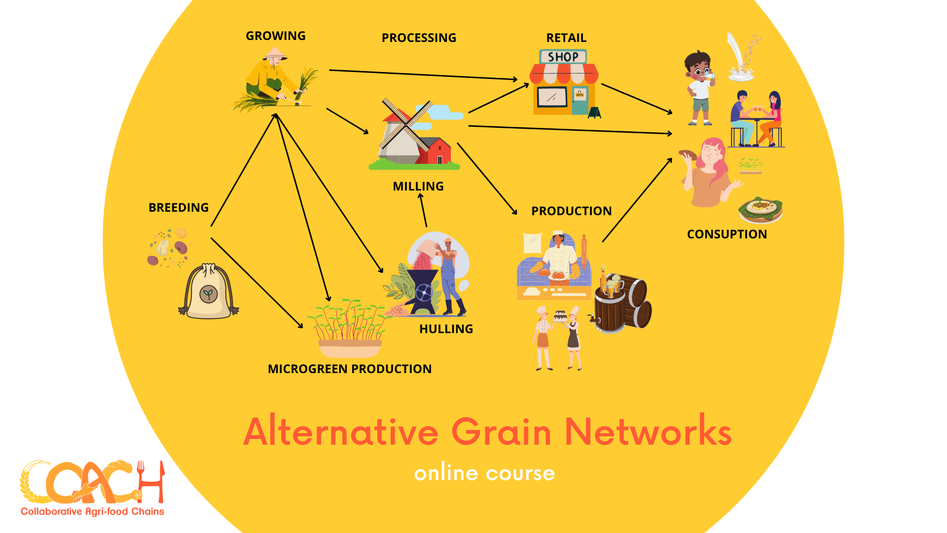 Alternative Grain Networks